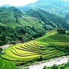 Things To Do in Hill Tribes of North Vietnam 9 days 8 nights, Restaurants in Hill Tribes of North Vietnam 9 days 8 nights