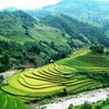 What to do and see in Mu Cang Chai, Yen Bai Province: The Best Things to do