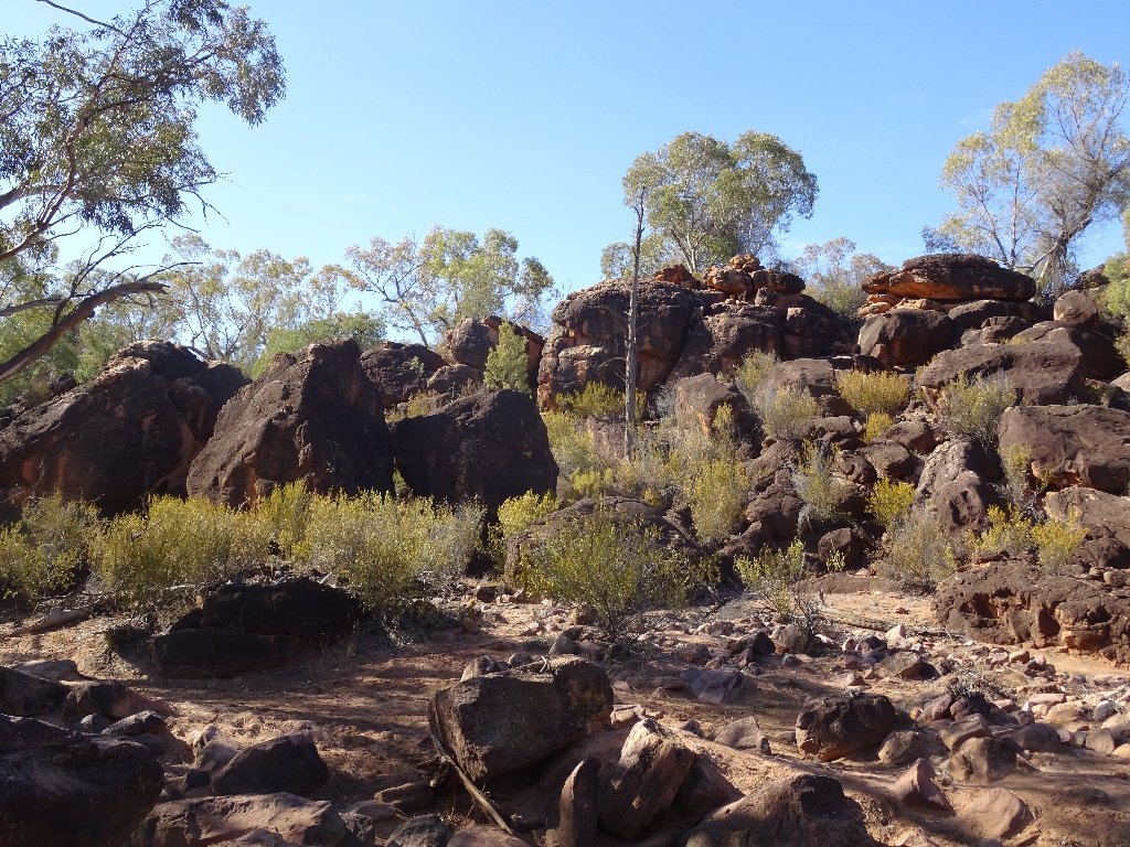 COMEROO STATION - Campground Reviews (Bourke, Australia)