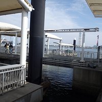 姫路港風景
