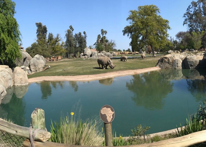 African Adventure exhibit - Fresno Chaffee Zoo
