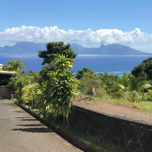the view from the terace