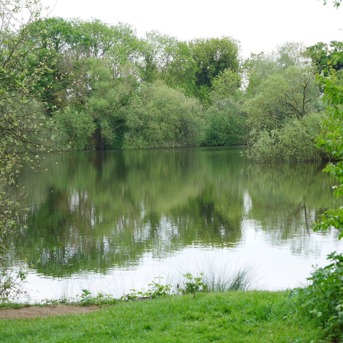 Barnwell Country Park (Oundle) - 2022 Alles wat u moet weten VOORDAT je ...