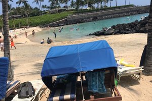 Pool & Beach
