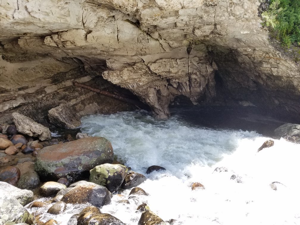 are dogs allowed in sinks canyon state park