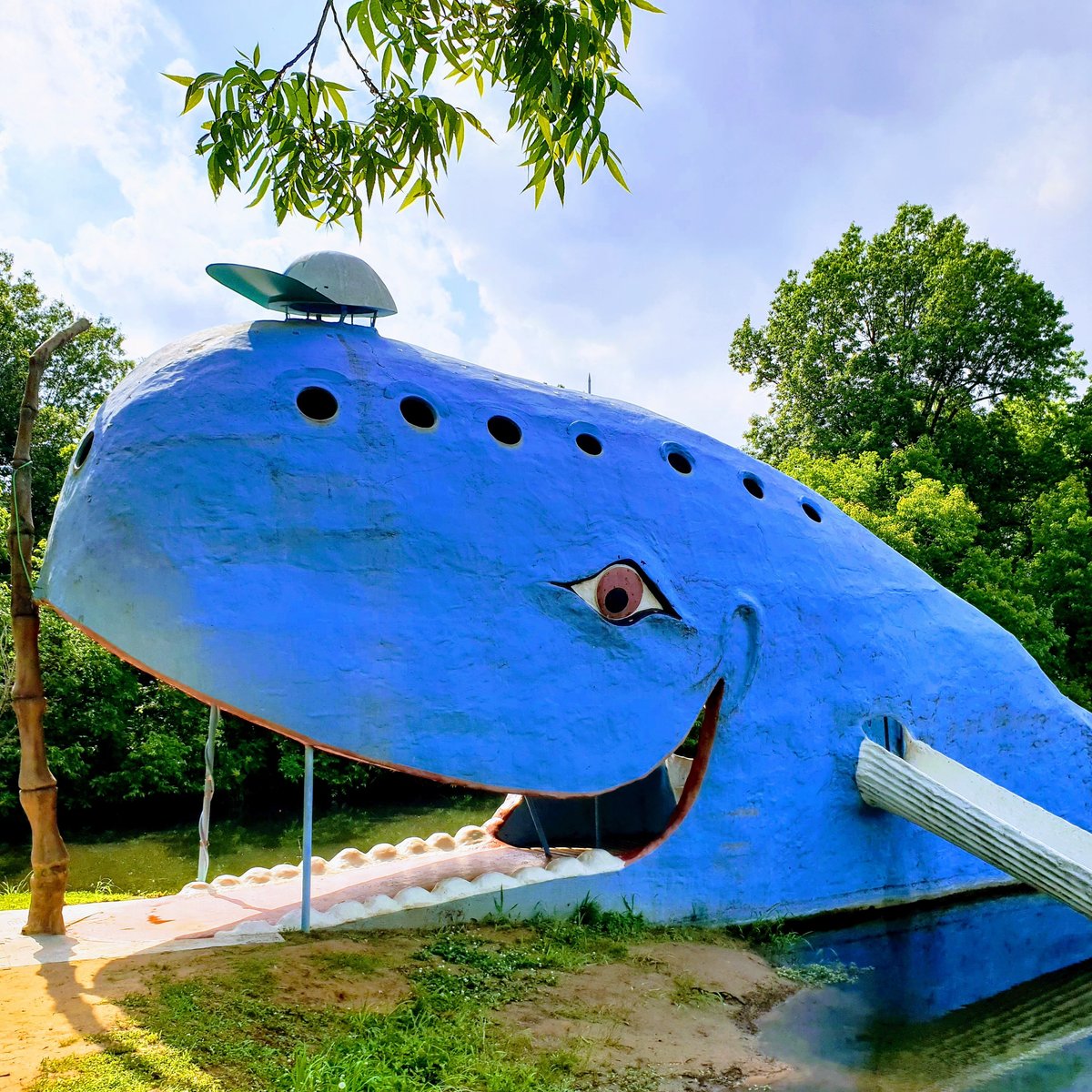 BLUE WHALE OF CATOOSA - All You Need to Know BEFORE You Go