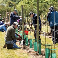 Warden Abbey Vineyard