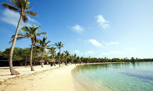 Morrocoy