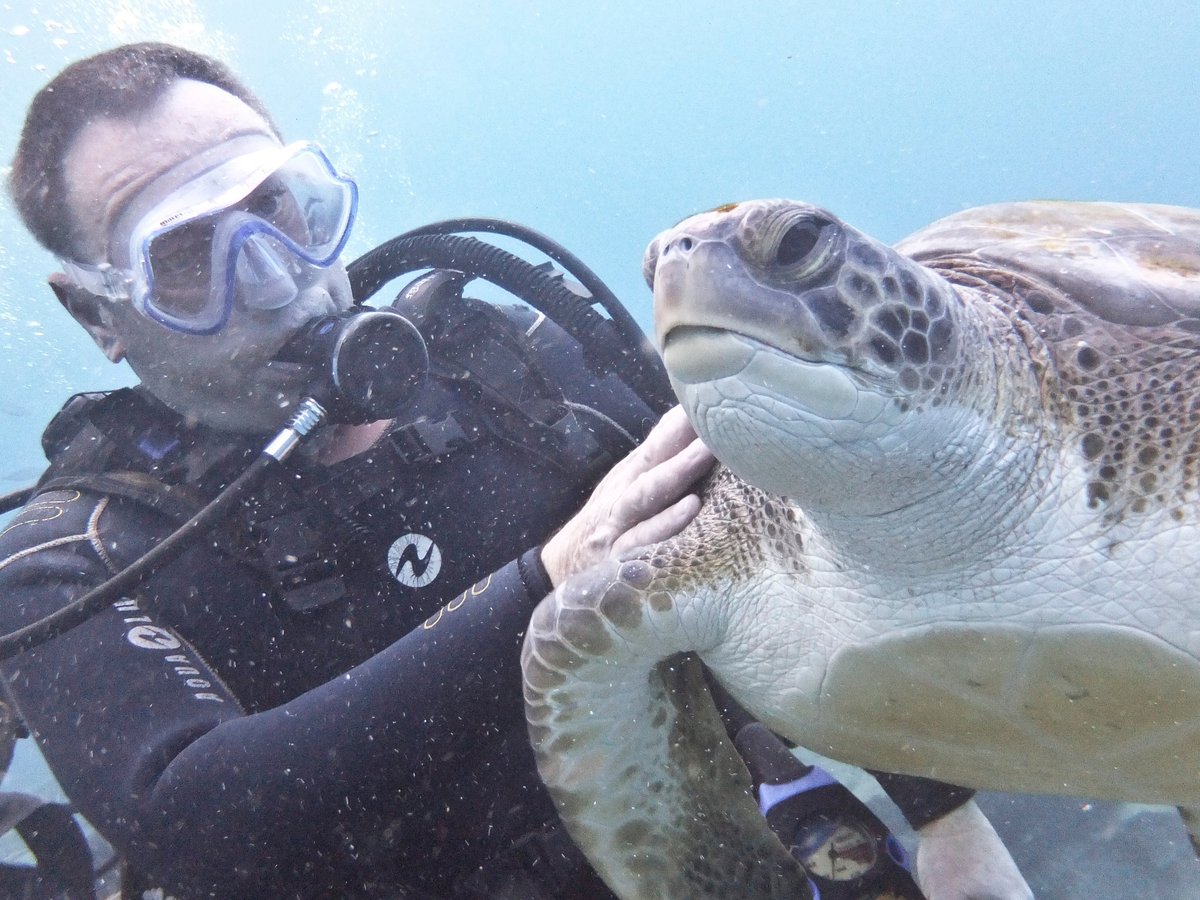 Tenerife Scuba - All You Need to Know BEFORE You Go (2024)