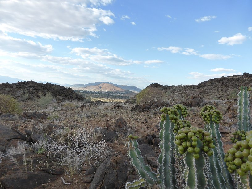 OKLAHOMA B&B - Reviews (Namibia/Usakos)