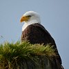 tofino tourism centre hikingfool2018