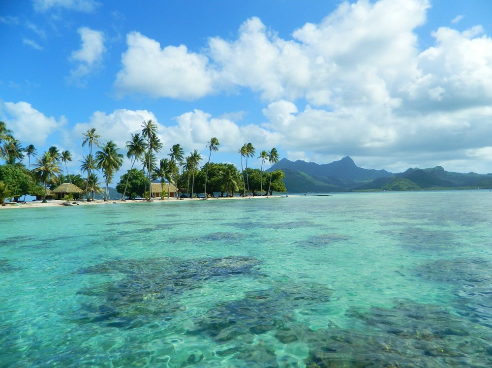 THE 15 BEST Things to Do in Raiatea (2024) - Must-See Attractions