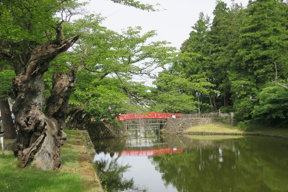 松が岬公園 安い ペット