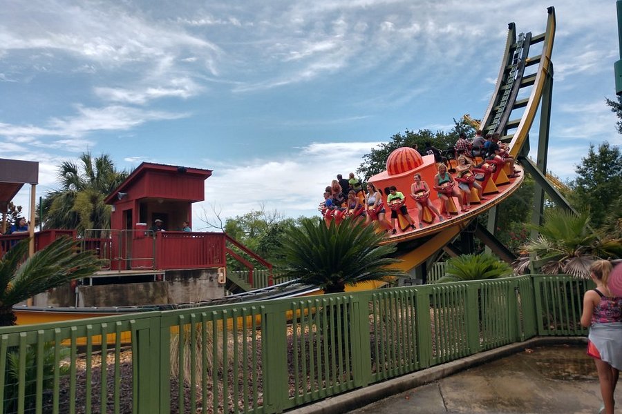 Wild Adventures Theme Park image