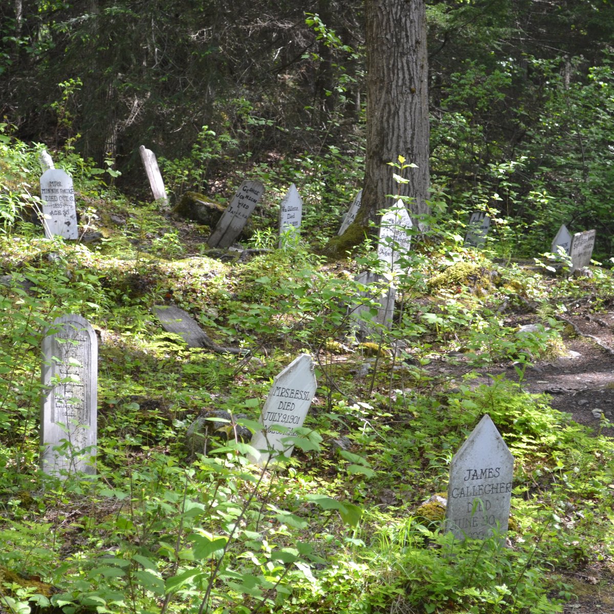 Gold Rush Cemetery, Skagway