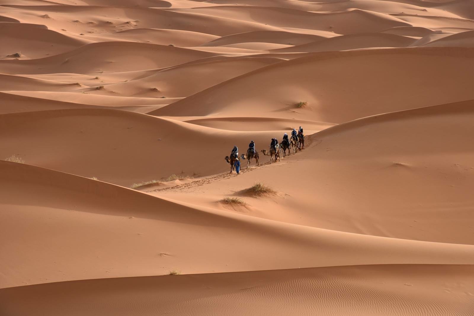 2022年 Authentic Berber Tours - 行く前に！見どころをチェック - トリップアドバイザー