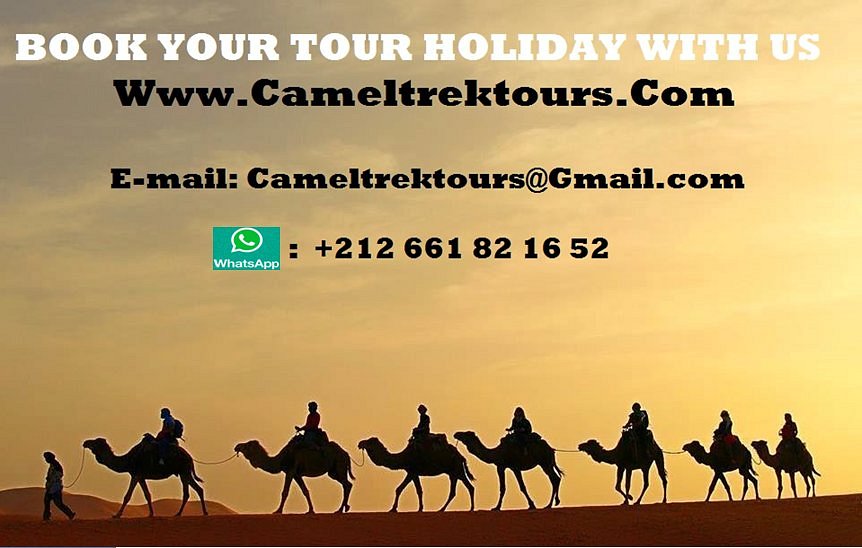 Camel Trek Tours Morocco image