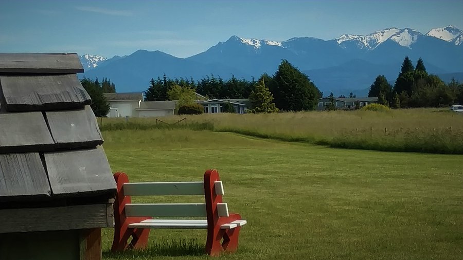 Olympic Mountain view