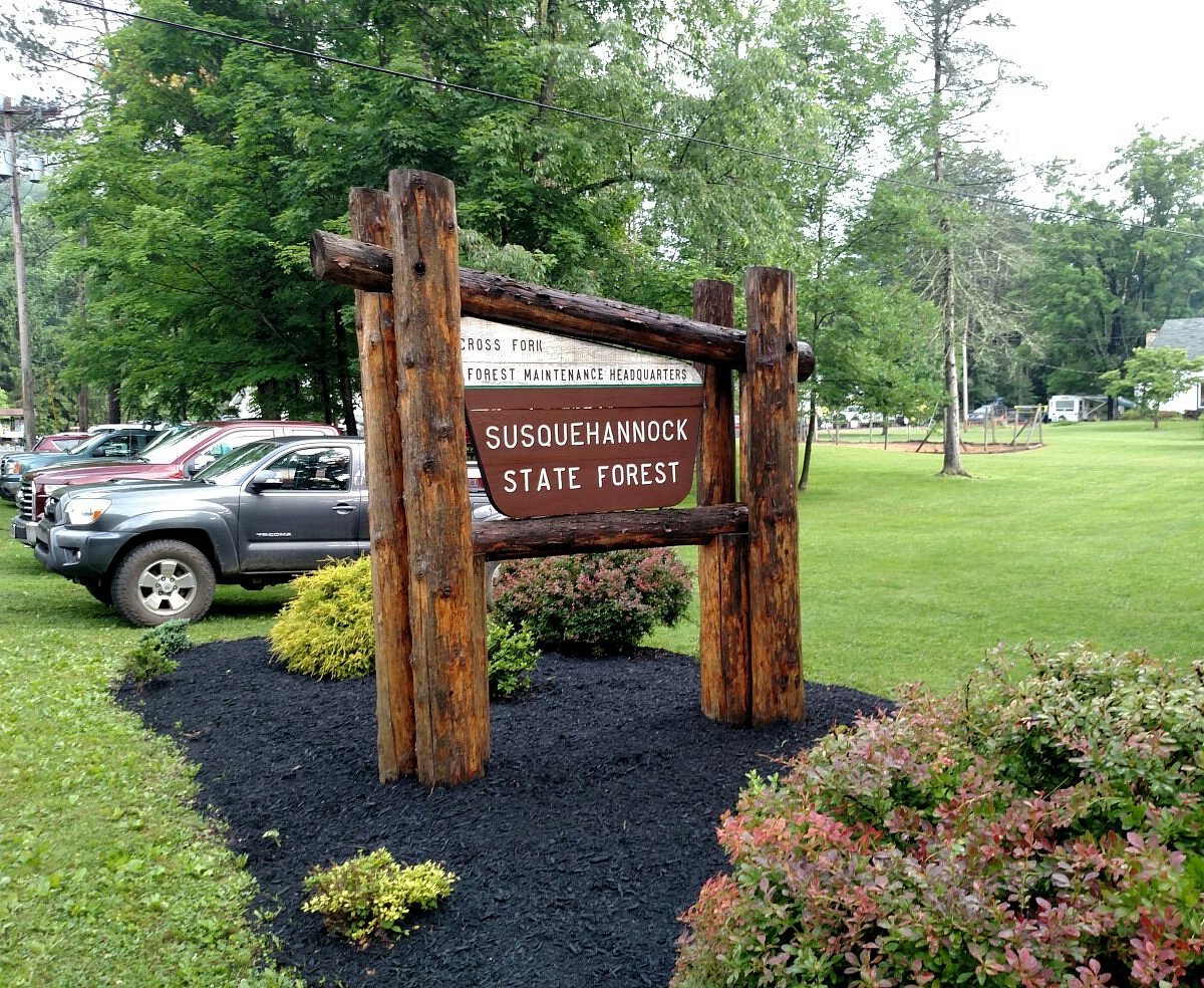 State forest. Slate Run Pennsylvania.