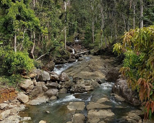 THE 15 BEST Things to Do in Luquillo - 2021 (with Photos) - Tripadvisor