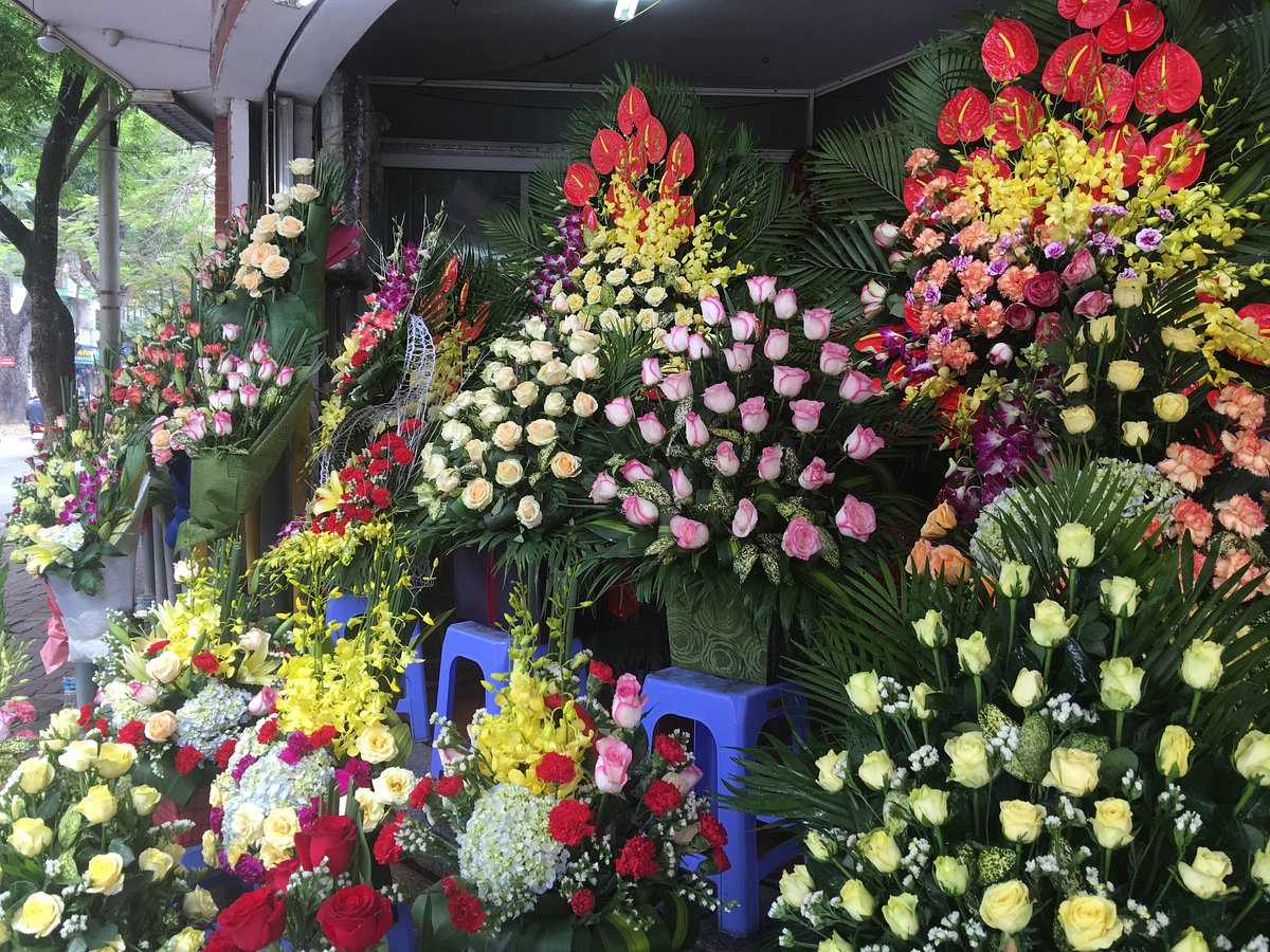 Quang Ba Flower Market, Ханой: лучшие советы перед посещением - Tripadvisor