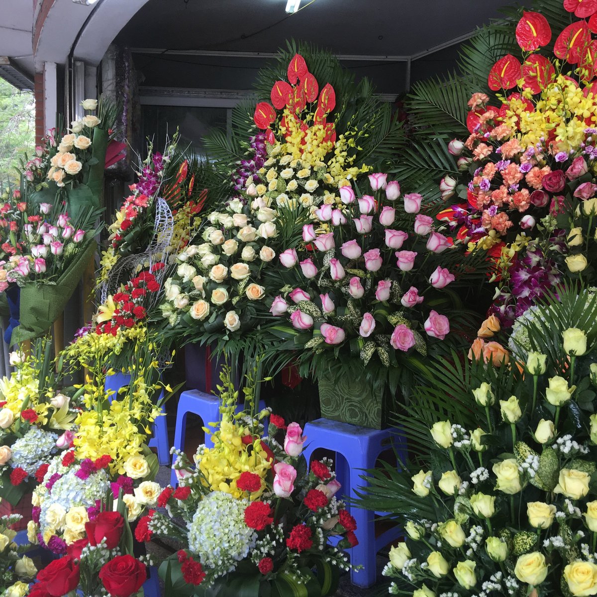 Quang Ba Flower Market, Ханой: лучшие советы перед посещением - Tripadvisor