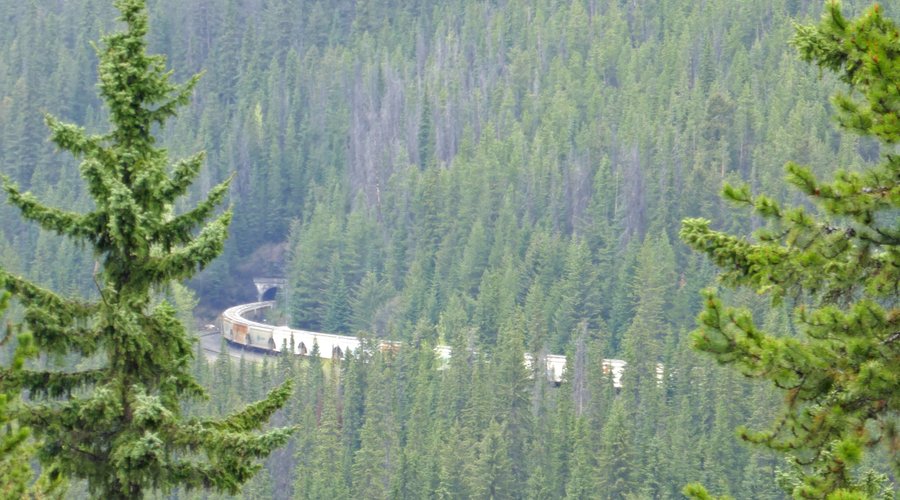 Too long of a train to wait for the end to go through