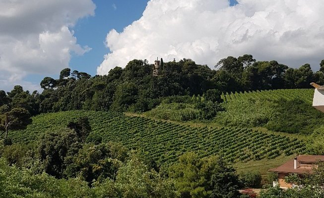 Albergo Ristorante Il Contadino