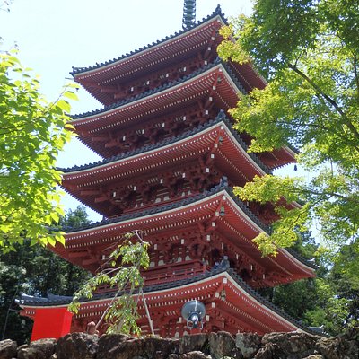 21年 高知市で絶対外さないおすすめ観光スポットトップ10 定番から穴場まで トリップアドバイザー 21年 高知市で絶対外さないおすすめ観光スポットトップ10 定番から穴場まで トリップアドバイザー