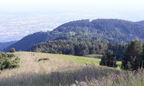 giugno 18
