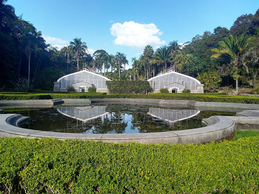 Jardim Botânico de São Paulo - ATUALIZADO 2022 O que saber antes de ir -  Sobre o que as pessoas estão falando - Tripadvisor