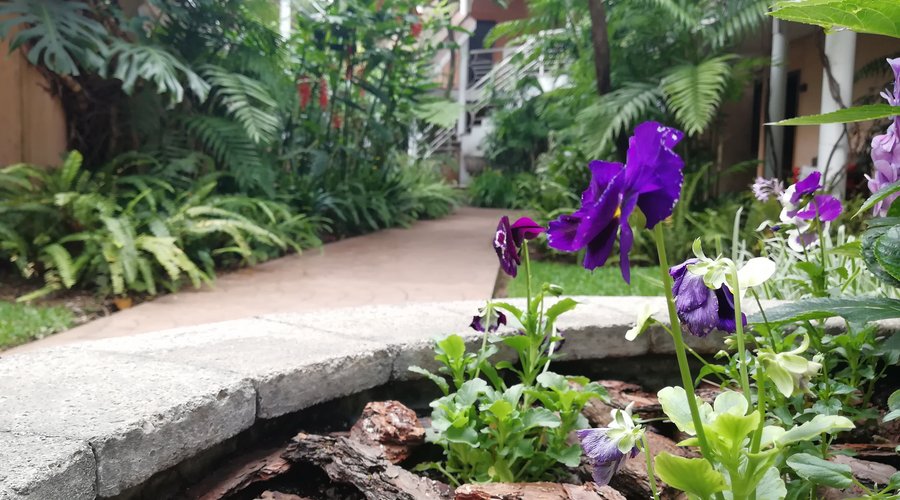 Área de jardín 