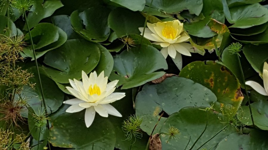 New Germany Nature Reserve