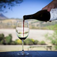 Vantage Pinotage being served.