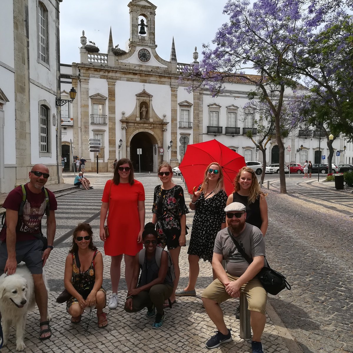 free walking tours portugal