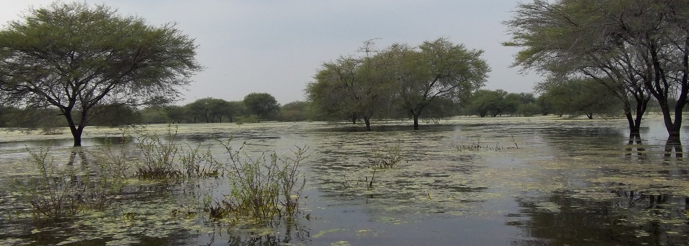 Nature Tour