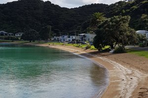 Pool & Beach