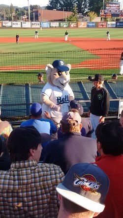 Don't miss our first Dollar - Somerset Patriots Baseball
