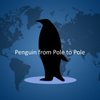 penguin_p2p