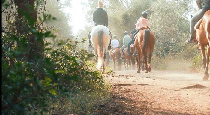 Imagen 2 de Rancho Grande