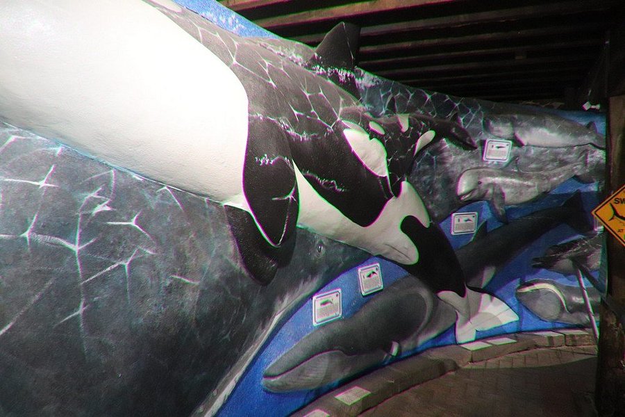 South Australia Whale Centre image