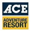 ACE M