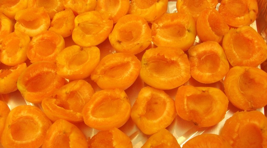 apricots when in season in Greece are part of Melinas cooking classes