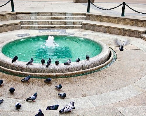 A Fountain That Squirts Wine - Blog