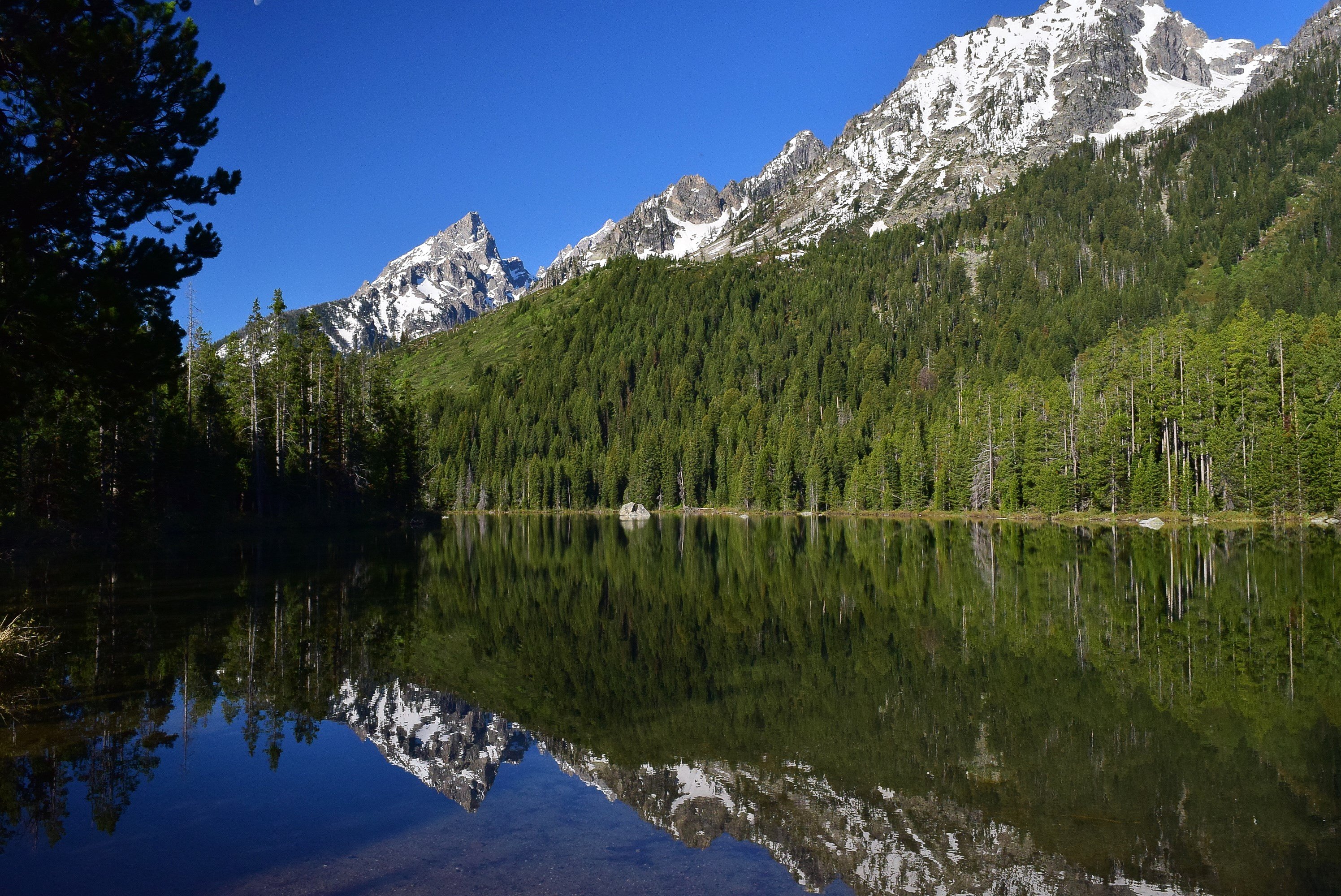 Grand tetons clearance trails