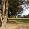 Things To Do in Macleay Park, Restaurants in Macleay Park