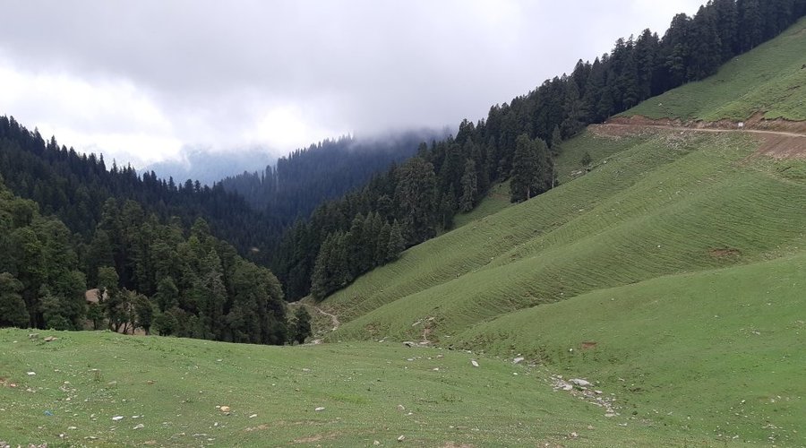 Kamal K Rana