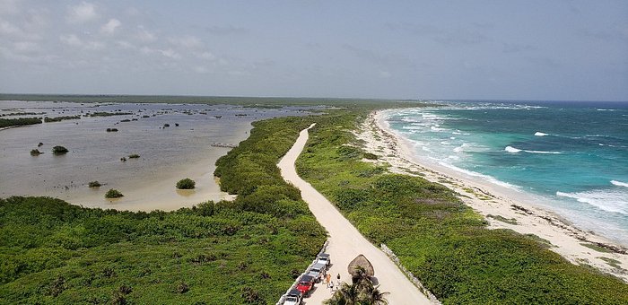 Gift Shop Up Front - Picture of Three Amigos, Cozumel - Tripadvisor