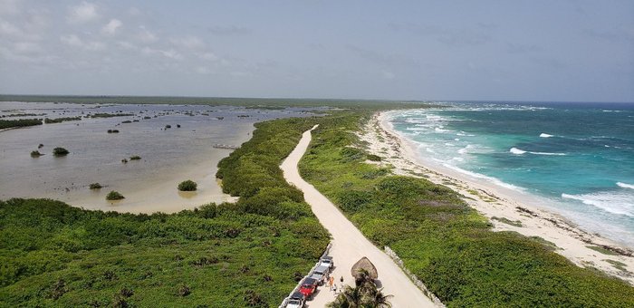 Gift Shop Up Front - Picture of Three Amigos, Cozumel - Tripadvisor