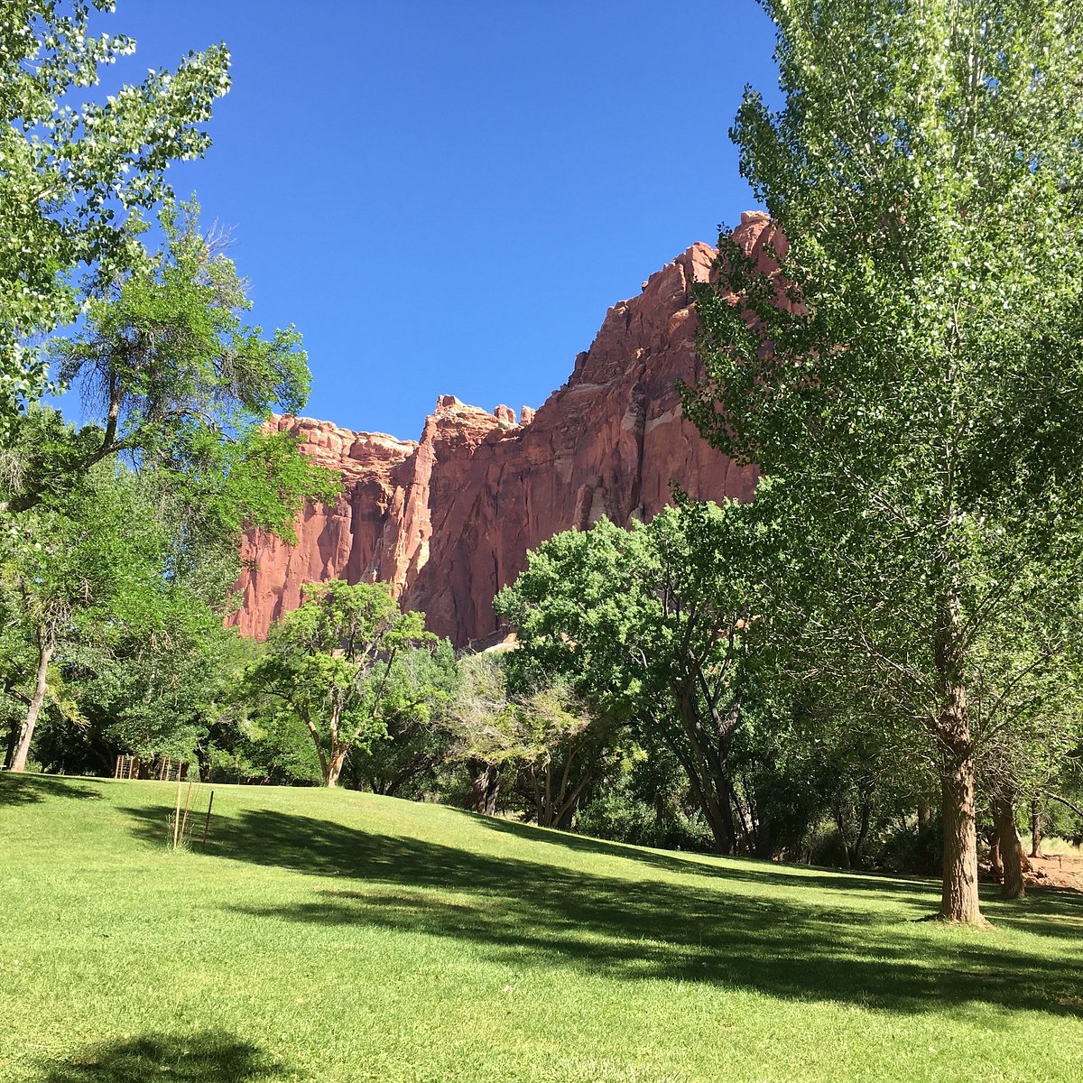 Национальный парк Капитол-риф Юта. Capitol Reef National Park.